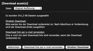 Screenshot Media Asstdownload Markenführungsguide