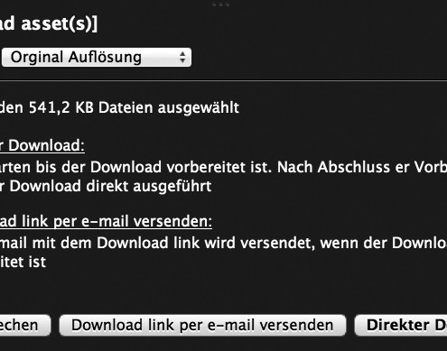 Screenshot Media Asstdownload Markenführungsguide