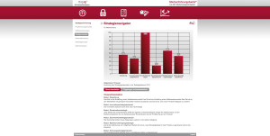 Markenstrategienavigator Ergebnisgrafik