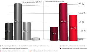 Ergebnisgrafik bisherige und erwartet Markenumsätze