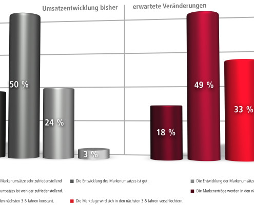 Ergebnisgrafik bisherige und erwartet Markenumsätze