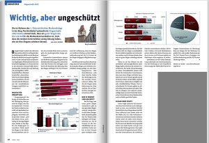 Bericht Cash 11_2012 Markendialog und Sloganstudie