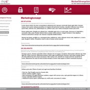 Screenshot Marketingkonzept