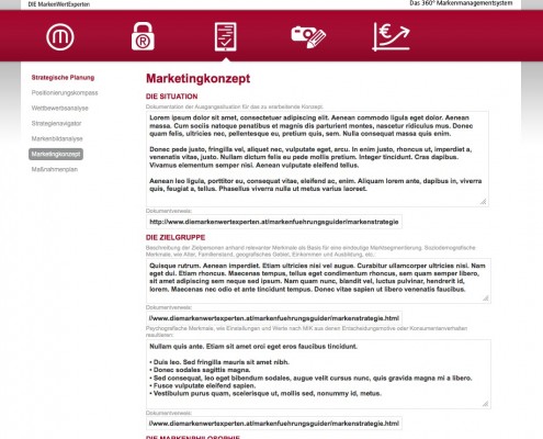 Screenshot Marketingkonzept