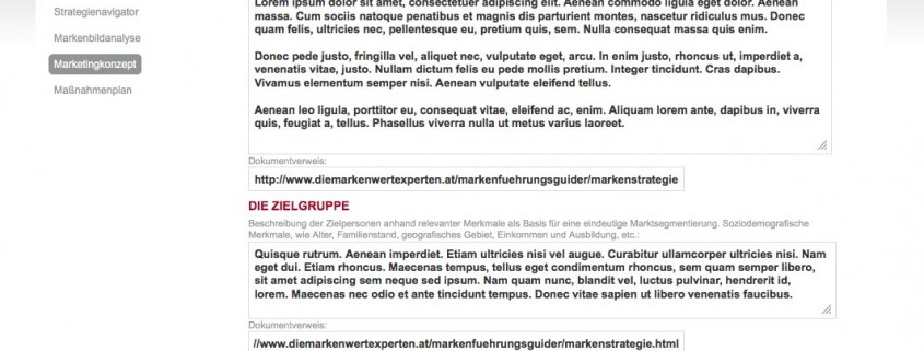 Screenshot Marketingkonzept