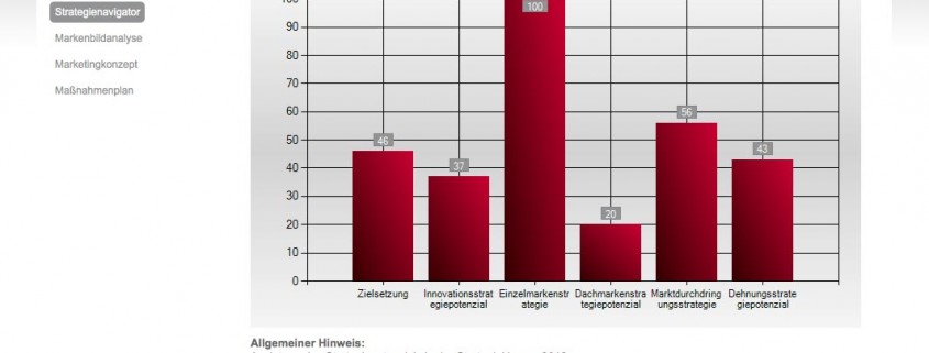 Markenstrategienavigator