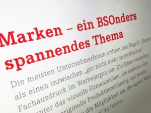 Screenshot vom Blog-Beitrag Marken_BSOnders_spannendes_Thema